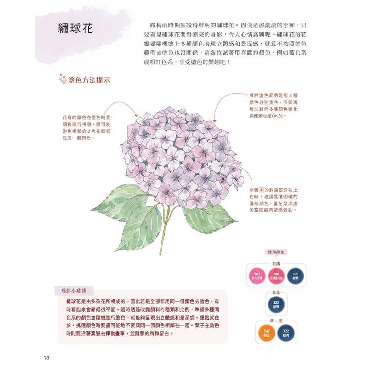 從著色繪本學習花朵水彩插畫:從簡單的一朵花到複雜的花束與花環 從著色繪本學習花朵水彩插畫:從簡單的一朵花到複雜的花束與花環