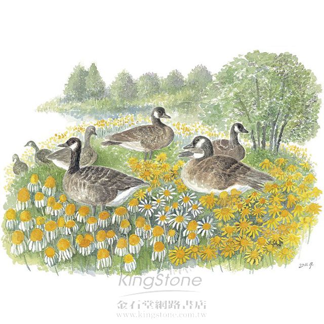 canada goose k鴅 online canada goose k鴅 online