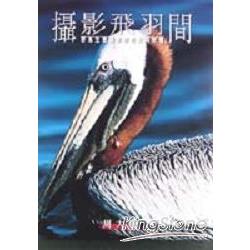 攝影飛羽間：野鳥生態攝影的技法 | 拾書所