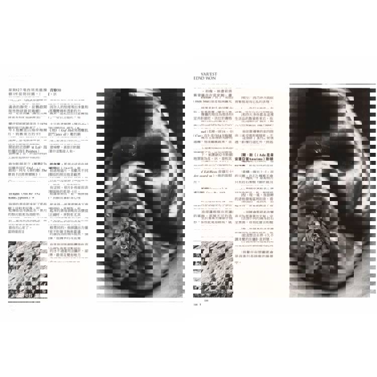 解讀攝影大師:認識他們的創作人生、觀點與作品觀看之道 解讀攝影大師:認識他們的創作人生、觀點與作品觀看之道