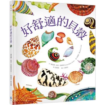 好舒適的貝殼