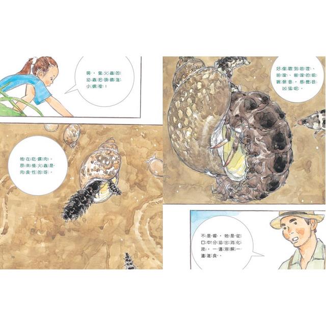 科學不思議:點亮螢火蟲之光 科學不思議:點亮螢火蟲之光