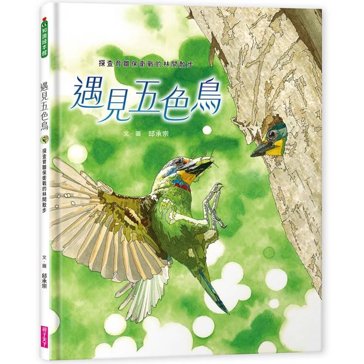 遇見五色鳥:探查育雛保衛戰的林間散步 遇見五色鳥:探查育雛保衛戰的林間散步