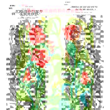 我們一起度過的那些春夏秋冬