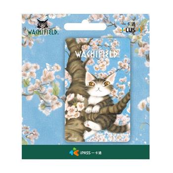 達洋貓《櫻花樹》一卡通