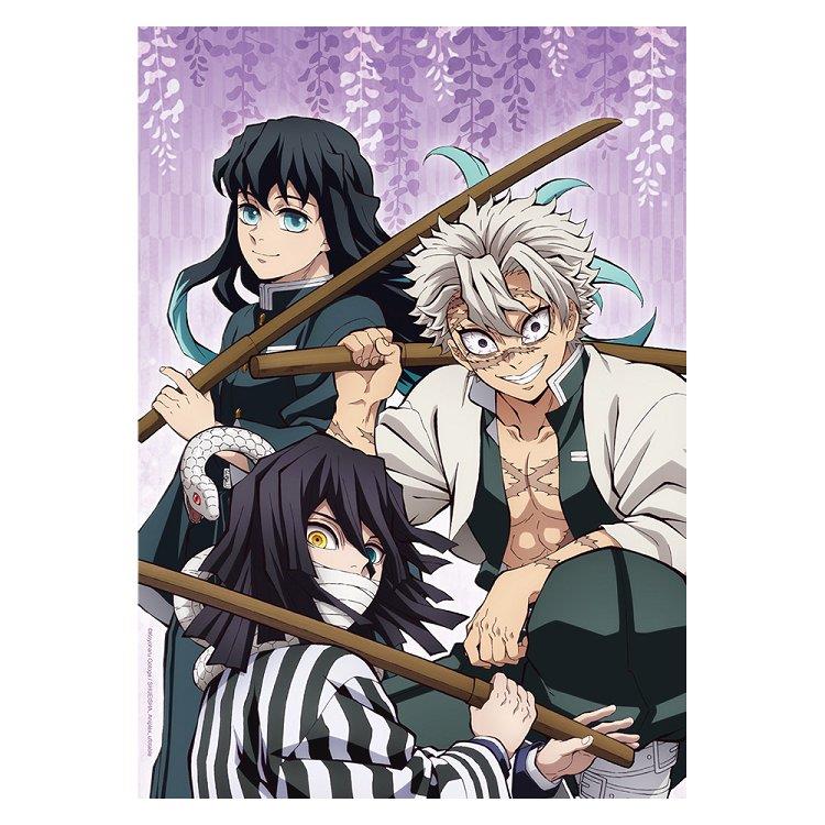 透明小海報-鬼滅之刃A款(綜) 透明小海報-鬼滅之刃A款(綜)