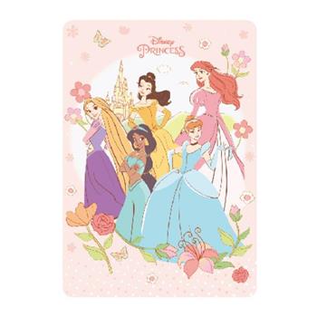 迪士尼墊板13k-公主綜合