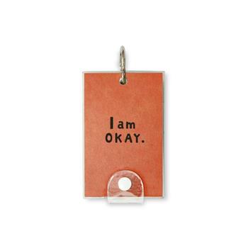 I am Okay 大 單字本 橘