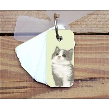 小小單字卡(夢幻貓淺綠)