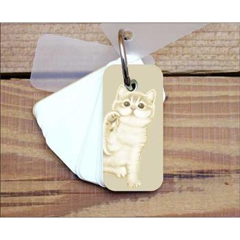 小小單字卡(夢幻貓淺咖啡)