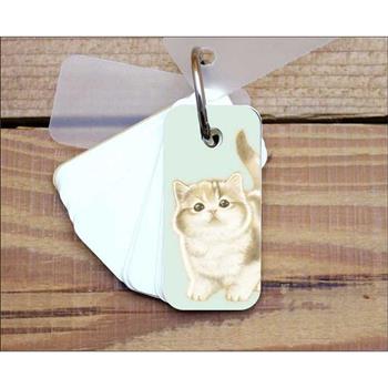 小小單字卡(夢幻貓粉藍)