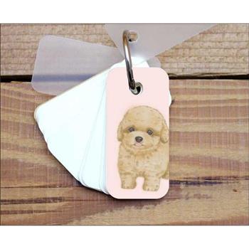 小小單字卡(夢幻狗粉紅)