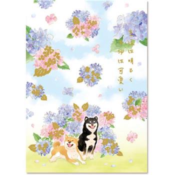 A5多版面信紙本-繡球柴語