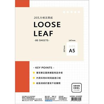 簡約20孔方格活頁紙C