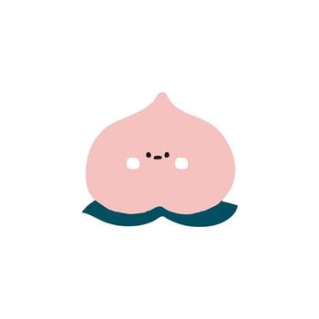 (特價)小呸角壓克力夾(Momo醬)