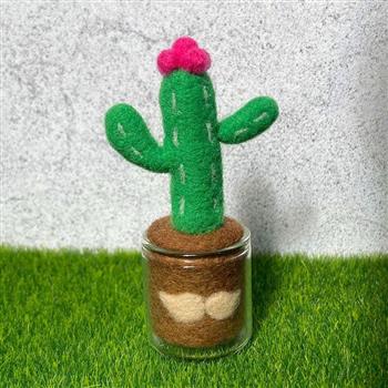 羊毛氈材料包套組：鹿角柱仙人掌多肉小盆栽(內含完整影音教學)