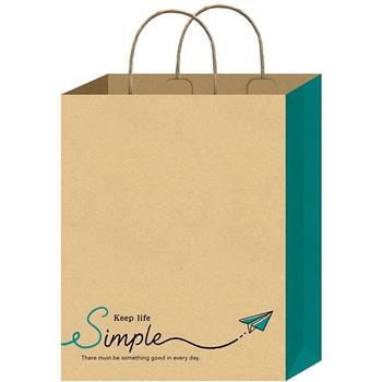 牛皮手提袋直3號-飛機