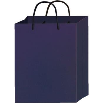 光彩提袋直2號-紫