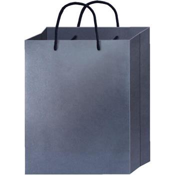 光彩提袋直2號-黑