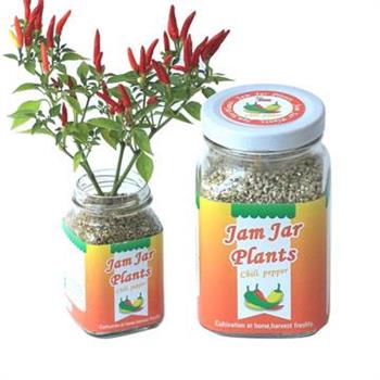 【迎光】Jam Jar Plants小植栽－五彩辣椒【金石堂、博客來熱銷】