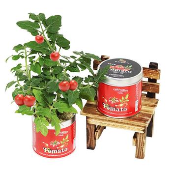 【迎光】Cultivation Table栽培罐－迷你番茄【金石堂、博客來熱銷】