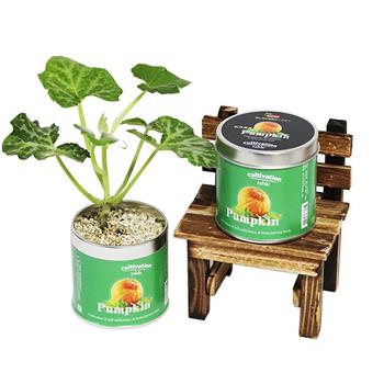 【迎光】Cultivation Table栽培罐－玩具南瓜【金石堂、博客來熱銷】