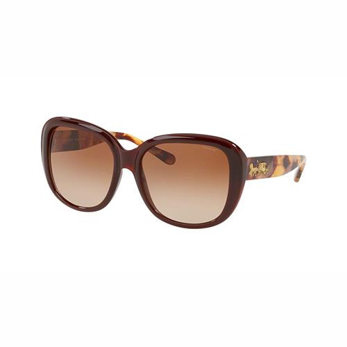 COACH 簡約時尚太陽眼鏡－棕色