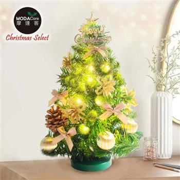 摩達客-台灣製1尺30cm精緻綠色聖誕樹+聖誕花糖果金系裝飾品組_免組裝+20燈LED銅線燈串暖白光-USB電池盒兩用_本島免運費