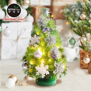 摩達客-台灣製1尺30cm精緻綠色聖誕+聖誕花雪片銀白系裝飾品組_免組裝+20燈LED銅線燈串暖白光-USB電池盒兩用_本島免運費