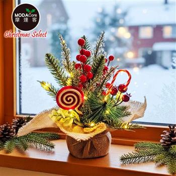 摩達客-25cm聖誕裝飾花盆+20LED暖白光燈串-兩款式可選