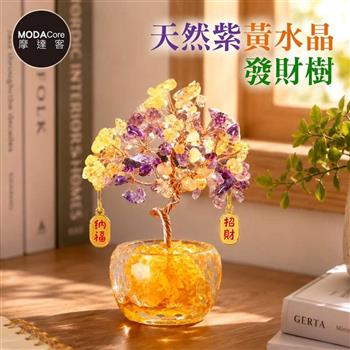 摩達客 天然紫黃水晶發財樹招財納福掛飾透明盆底 寓意智慧行動力財富 質感居家招福擺飾