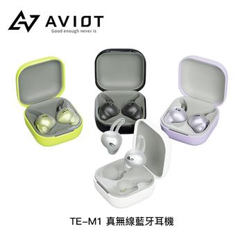 AVIOT TE－M1 真無線藍牙耳機（4色）【金石堂、博客來熱銷】
