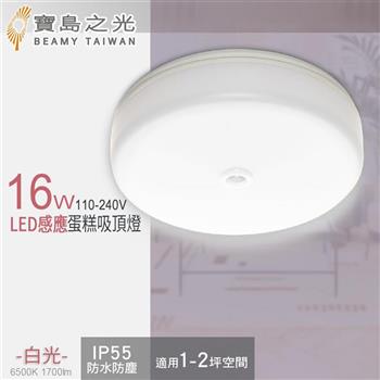 【寶島之光】16W LED 感應蛋糕吸頂燈/白光 Y6S16DEI