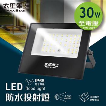 【太星電工】30WLED防水投射燈/全電壓 WDA3030
