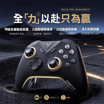 【Flydigi飛智】黑武士5 PRO 競技精英手把 (國際版)