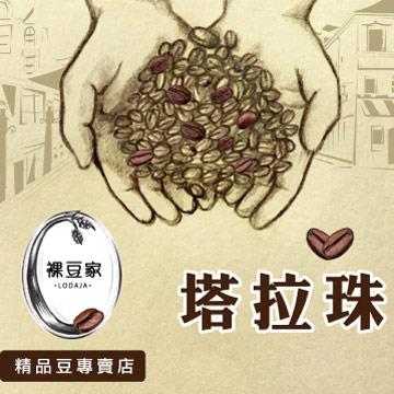 【LODOJA裸豆家】塔拉珠精品咖啡豆（1磅）