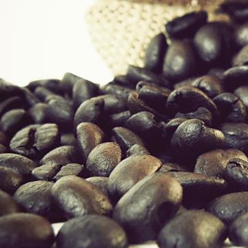【Gustare caffe】精選東帝汶咖啡豆隨手包（110±5g/包）