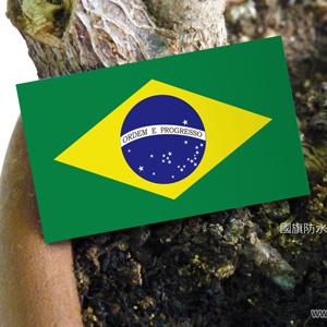 【國旗商品創意館】巴西國旗抗ＵＶ、防水貼紙2入／Brazil／世界多國款式可選購