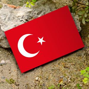 【國旗商品創意館】土耳其國旗抗ＵＶ、防水貼紙2入／Turkey／有多國款式可選購