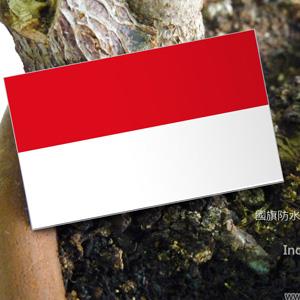【國旗商品創意館】印尼國旗抗ＵＶ、防水貼紙2入／Indonesia／多國款可選購
