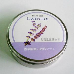 香草栽培罐Ⅱ－ 薰衣草
