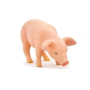 《MOJO FUN動物模型》動物星球頻道獨家授權－小豬仔（吃姿）【金石堂、博客來熱銷】
