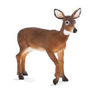 《MOJO FUN動物模型》動物星球頻道獨家授權－白尾雌鹿【金石堂、博客來熱銷】