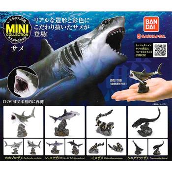 全套4款 生物大圖鑑 鯊魚篇 扭蛋 轉蛋 深海鯊魚 獵捕者 動物模型 BANDAI 萬代【金石堂、博客來熱銷】