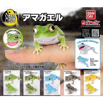 全套5款 生物大圖鑑 日本雨蛙 扭蛋 轉蛋 東北雨蛙 青蛙 動物模型 BANDAI 萬代