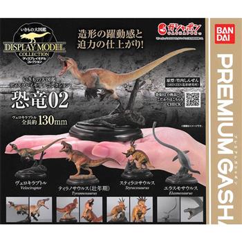 全套4款 生物大圖鑑 展示模型 恐龍 P2 扭蛋 轉蛋 迅猛龍 暴龍 刺盾角龍 薄板龍 恐龍模型