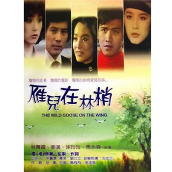 雁兒在林梢 DVD
