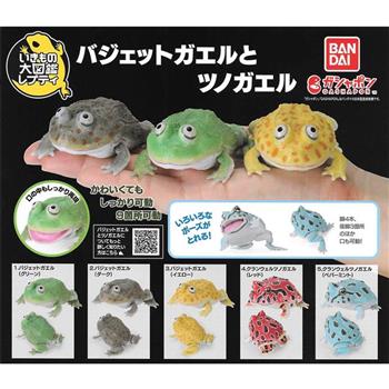 全套5款 生物大圖鑑 圓眼珍珠蛙與角蛙 扭蛋 轉蛋 圓眼珍珠蛙 小丑蛙 角蛙 BANDAI 萬代