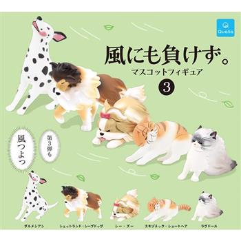全套5款 才不會輸給風的公仔們 P3 扭蛋 轉蛋 強風吹動物 頂住強風的貓狗 牧羊犬 布偶貓