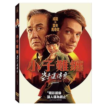 小子難纏：空手道傳奇 DVD